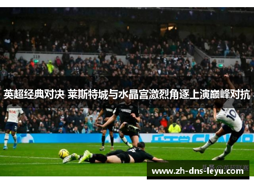 英超经典对决 莱斯特城与水晶宫激烈角逐上演巅峰对抗