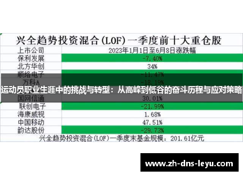 运动员职业生涯中的挑战与转型：从高峰到低谷的奋斗历程与应对策略