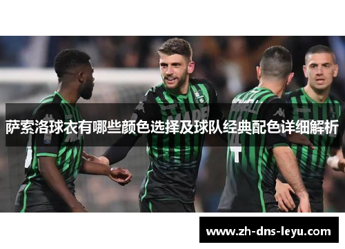 萨索洛球衣有哪些颜色选择及球队经典配色详细解析