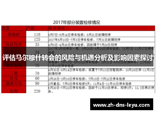 评估马尔穆什转会的风险与机遇分析及影响因素探讨