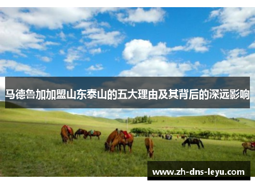 马德鲁加加盟山东泰山的五大理由及其背后的深远影响