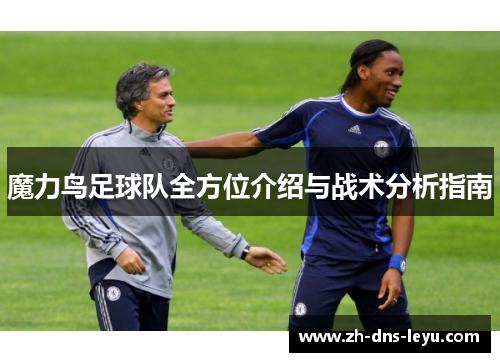 魔力鸟足球队全方位介绍与战术分析指南